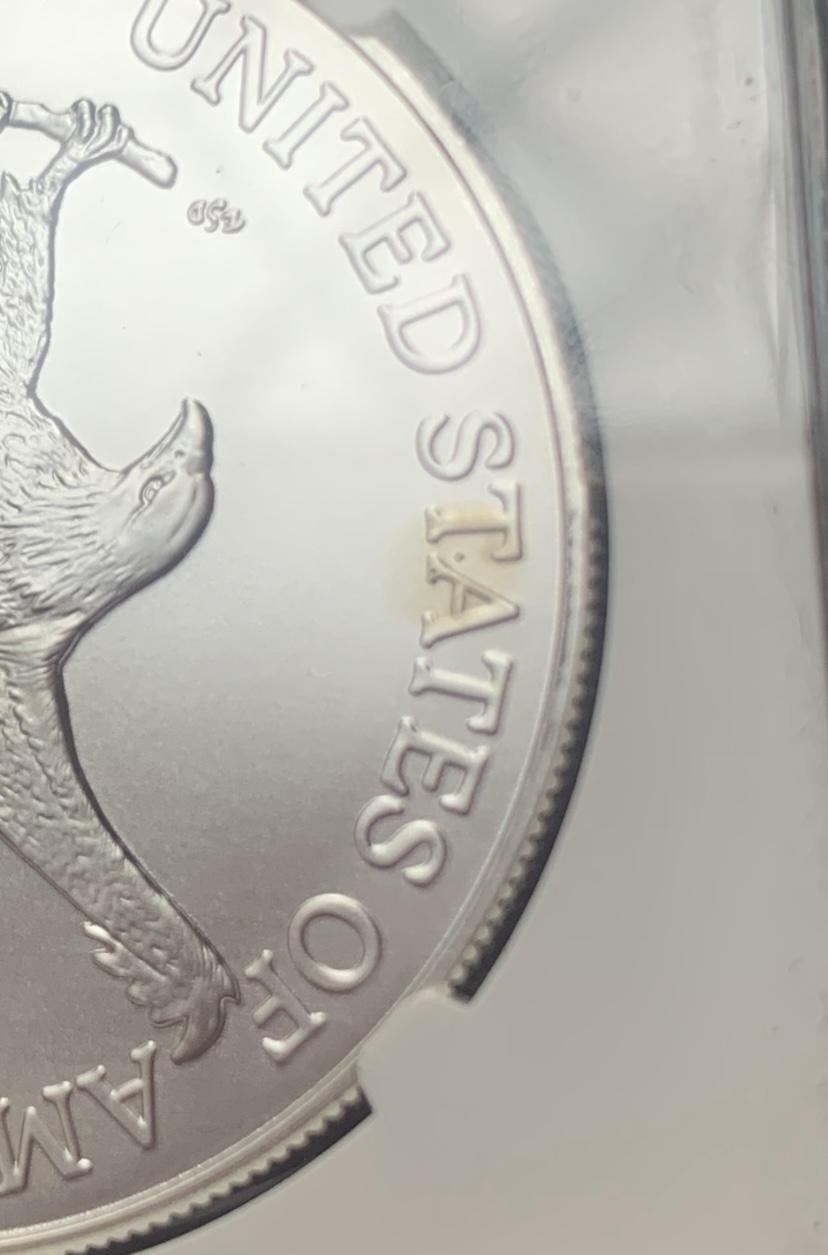 2024-American-Silver-Eagle---Can-An-MS-70-Graded-Coin-Come-With-A-Blemish?